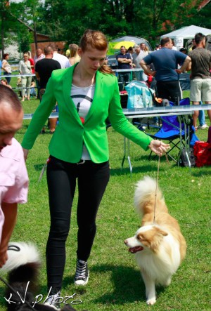 Ivory Coast Van't Vlassenhout group judging